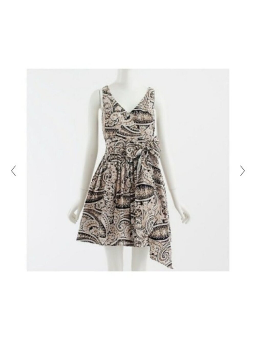 J.Crew Multicolor paisley print dress